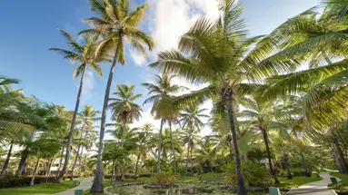 MELIA CARIBE BEACH RESORT