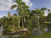 MELIA CARIBE BEACH RESORT