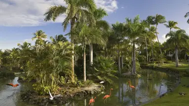 MELIA CARIBE BEACH RESORT