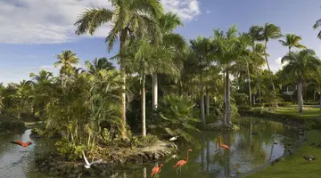 Melia Caribe Beach