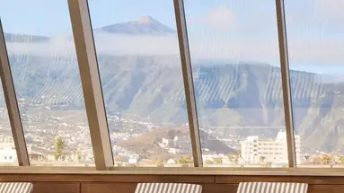 Melia Costa Atlantis TENERIFE