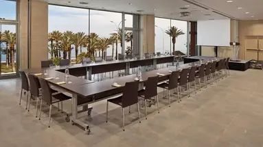 Melia Costa Del Sol
