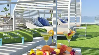 Melia Costa del Sol