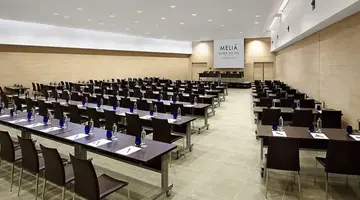 Melia Costa Del Sol