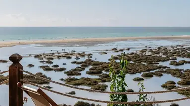 Meliá Fuerteventura