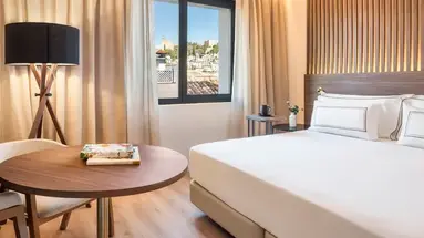 Melia Granada