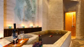 MELIA GRAND HERMITAGE