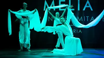 Melia Grand Hermitage