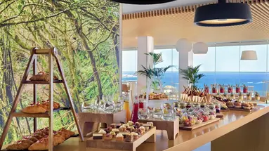 Melia Jardines DEL TEIDE (Adults Only +16)