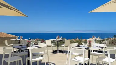 Melia Jardines Del Teide