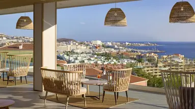 Melia Jardines Del Teide