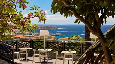 Meliá Jardines del Teide