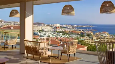 Melia Jardines Del Teide