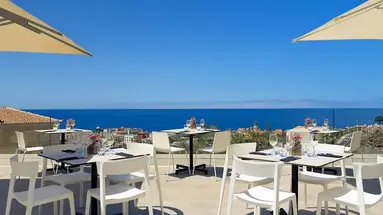 Melia Jardines Del Teide