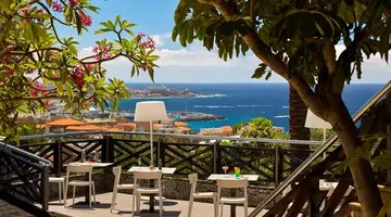 Melia Jardines Del Teide
