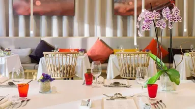 Melia Jardines del Teide