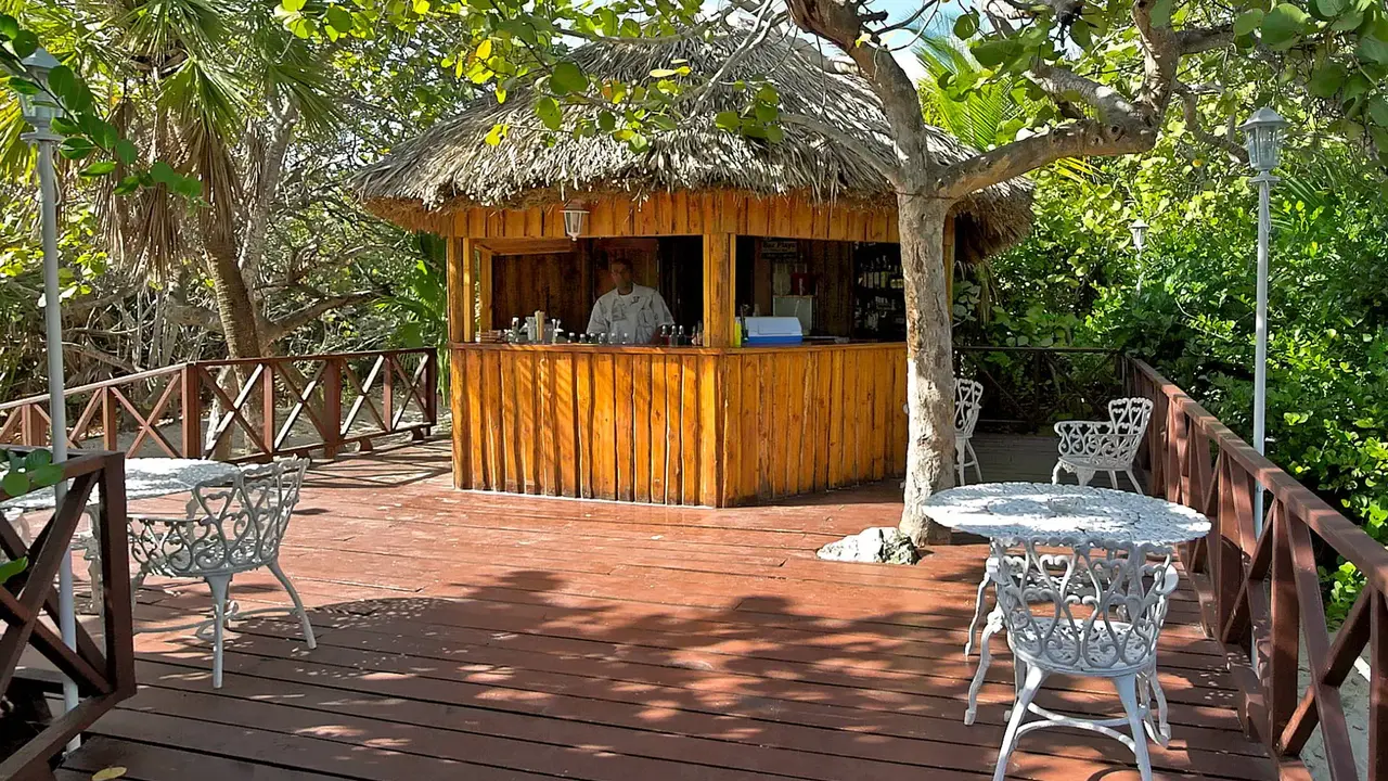 Melia Las Antillas