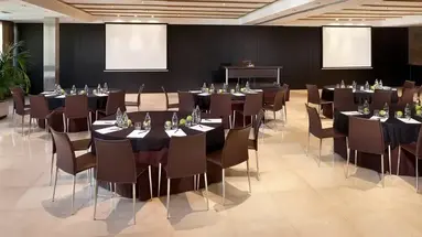 Melia Madrid Princesa
