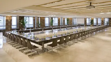 Melia Madrid Princesa