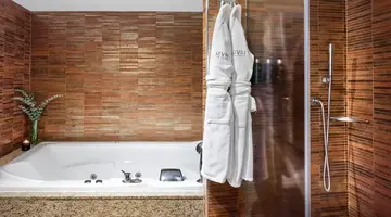 Melia Madrid Princesa
