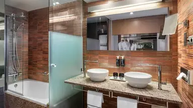 Melia Madrid Princesa