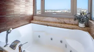 Melia Madrid Princesa