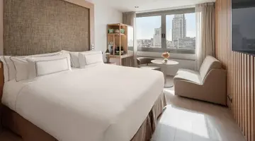 Melia Madrid Princesa