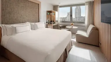 Melia Madrid Princesa
