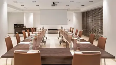 Melia Madrid Princesa