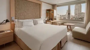 Melia Madrid Princesa