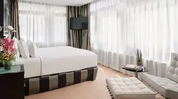 Melia Madrid Princesa