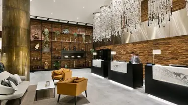 Melia Madrid Princesa