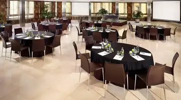 Melia Madrid Princesa