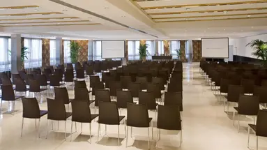 Melia Madrid Princesa