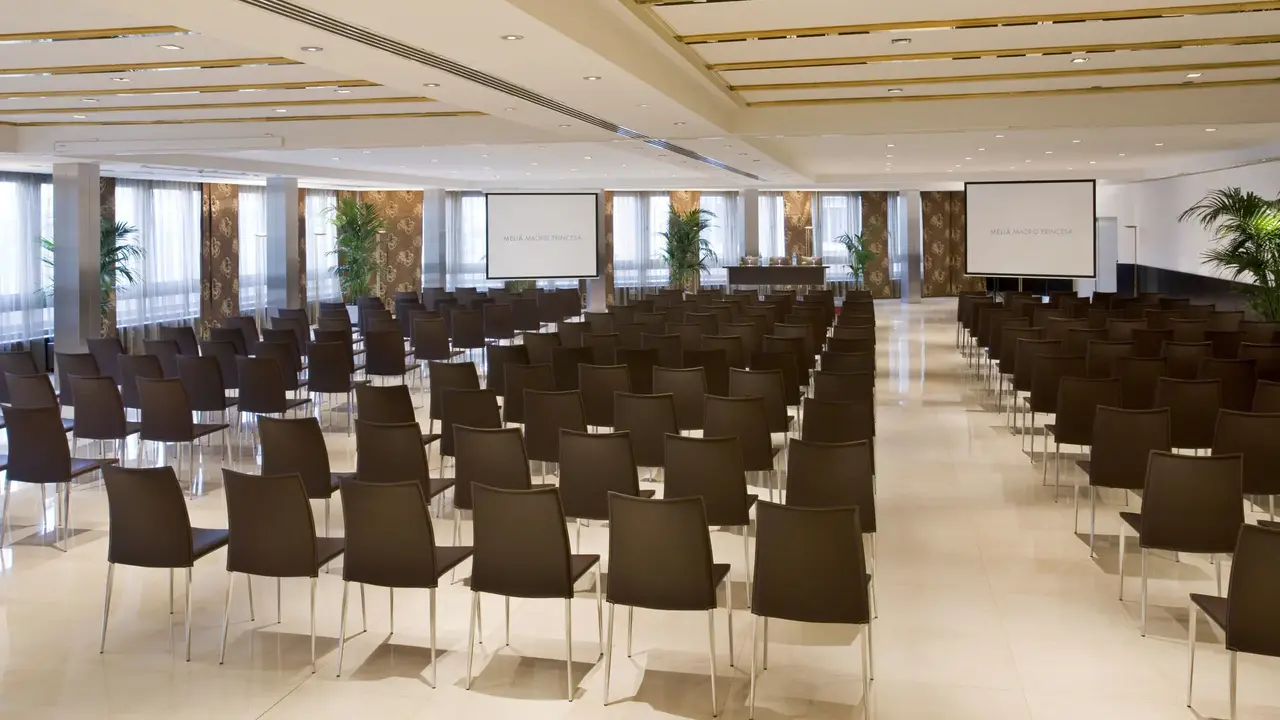 Melia Madrid Princesa