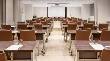 Melia Madrid Princesa