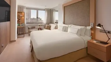 Melia Madrid Princesa