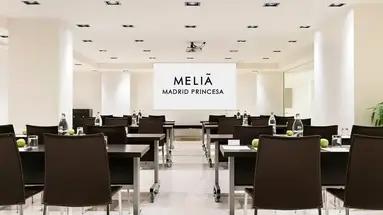 Melia Madrid Princesa