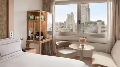 Melia Madrid Princesa