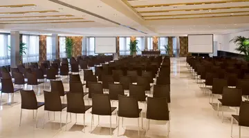Melia Madrid Princesa