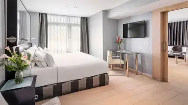 Melia Madrid Princesa