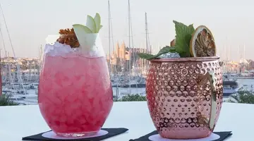Melia Palma Marina