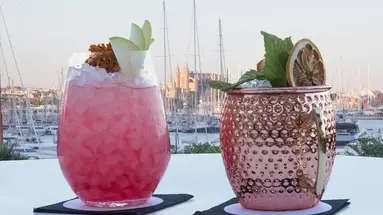 Melia Palma Marina
