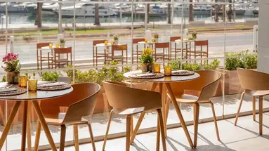 Melia Palma Marina