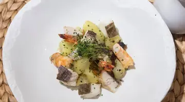 Melia Palma Marina