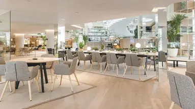 Melia Palma Marina