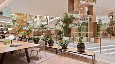 Melia Palma Marina