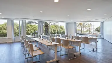 Melia Palma Marina
