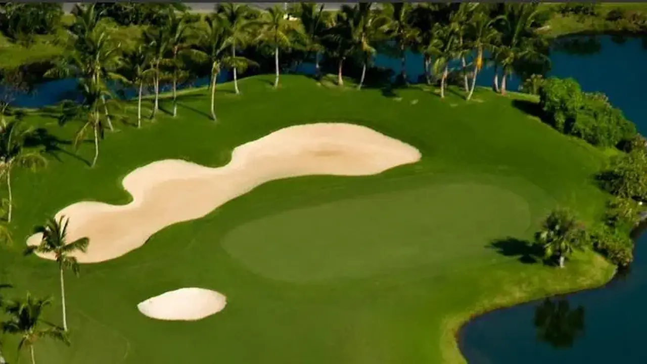 Melia Punta Cana Beach