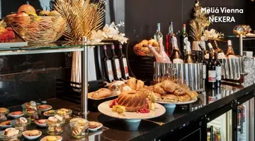 MELIA VIENNA